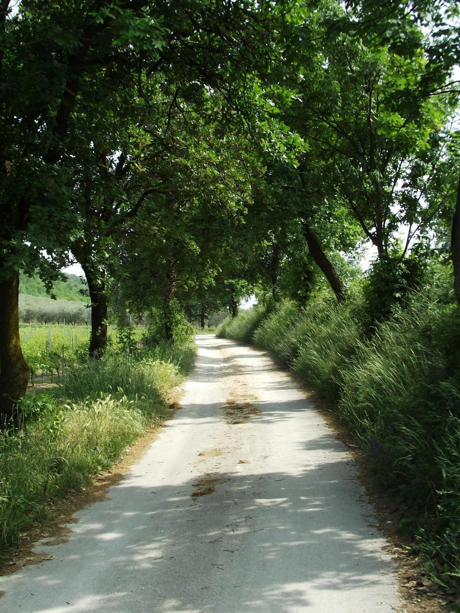 Agriturismo Ca' Castellani Bardolino Exterior foto